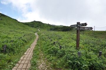 伊吹山