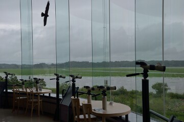 展望ホール 展望ホール