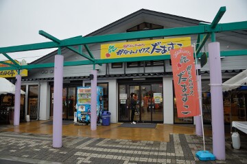 母ちゃんハウスだぁすこ 母ちゃんハウスだぁすこ