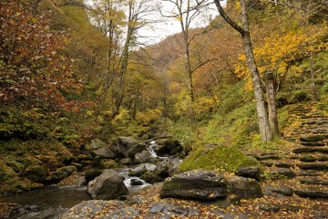 阿弥陀ヶ滝遊歩道