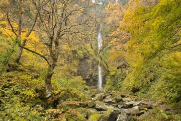 阿弥陀ヶ滝