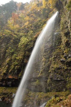 阿弥陀ヶ滝