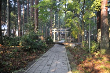 猿田彦神社