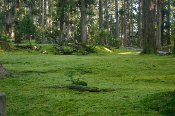 平泉寺白山神社境内