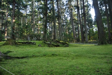 平泉寺白山神社境内