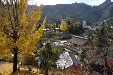厳島神社方面 厳島神社方面