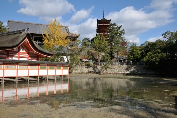 朝座屋裏側 朝座屋裏側