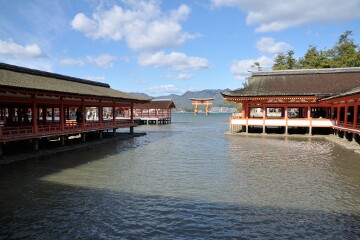 東廻廊から大鳥居を望む 東廻廊から大鳥居を望む