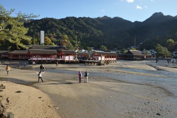 社殿遠景 社殿遠景