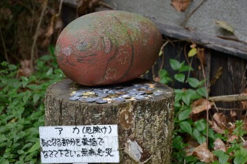 福石猫「アカ」 福石猫「アカ」