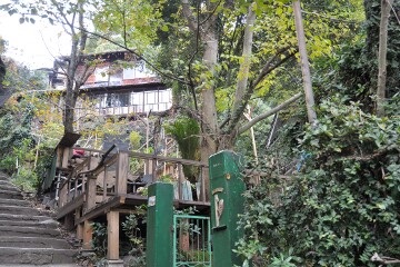 猫の細道 猫の細道