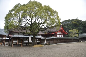 宗像大社・辺津宮「本殿」 宗像大社・辺津宮「本殿」