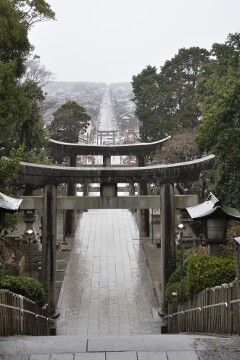 宮地嶽神社「参道」 宮地嶽神社「参道」