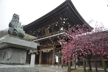 宮地嶽神社「楼門」 宮地嶽神社「楼門」