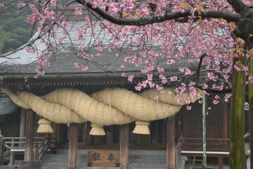日本一の注連縄 日本一の注連縄