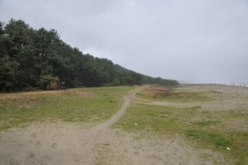 虹の松原 虹の松原