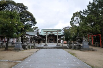 唐津神社 唐津神社