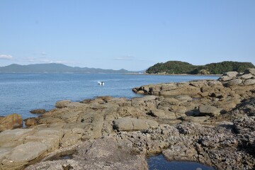 神崎鼻の海岸 神崎鼻の海岸