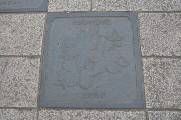 長崎県の花「雲仙つつじ」の敷石 長崎県の花「雲仙つつじ」の敷石