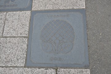 長崎市の花「あじさい」の敷石 長崎市の花「あじさい」の敷石