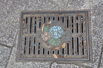 長崎市の花「あじさい」 長崎市の花「あじさい」