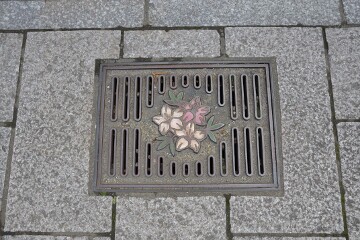 長崎県の花「雲仙つつじ」 長崎県の花「雲仙つつじ」