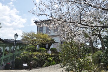 旧自由亭 旧自由亭