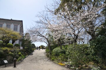 旧自由亭 旧自由亭