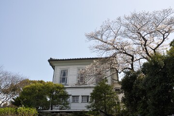 旧自由亭 旧自由亭