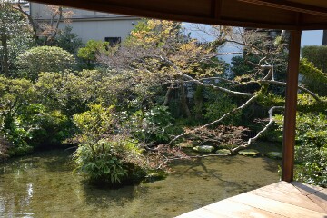 広縁と池 広縁と池