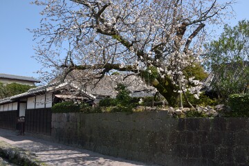 武家屋敷 武家屋敷