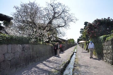 武家屋敷道路 武家屋敷道路
