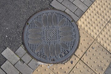 市の花ひまわり 市の花ひまわり