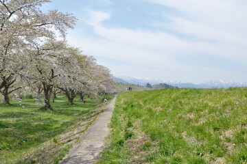 雫石川園地