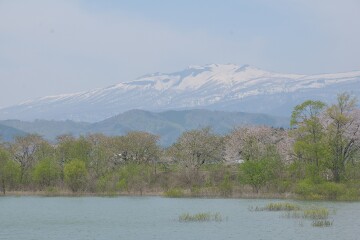 御所湖と秋田駒ケ岳