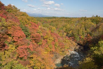 紅葉狩り 紅葉狩り