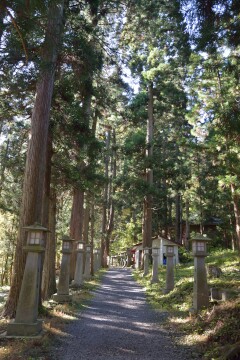 参道 桜松神社