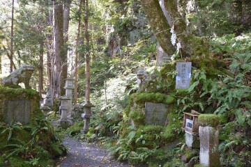 縁結びの木 桜松神社