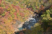 紅葉狩り 紅葉狩り