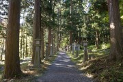 参道 桜松神社
