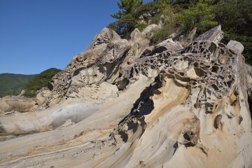 蜂の巣状の岩