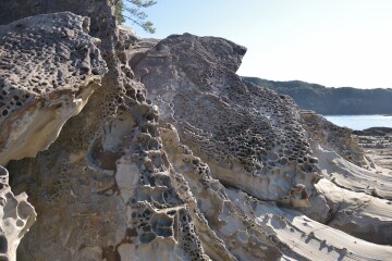 蜂の巣状の岩