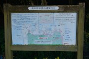 竜串海岸遊歩道案内図