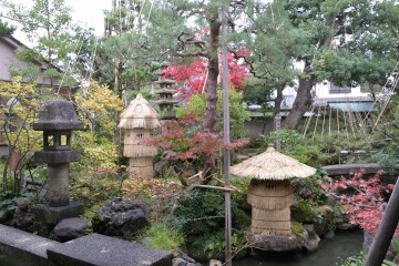 灯篭のこも巻き