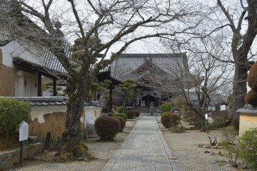正面が本堂 橘寺