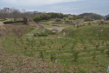 周辺 高松塚古墳