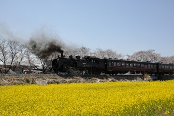 蒸気機関車 蒸気機関車