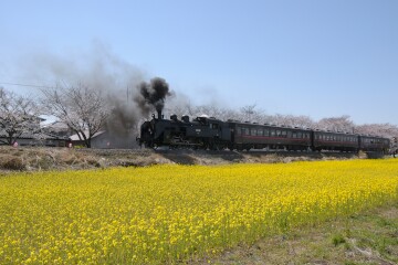 蒸気機関車 蒸気機関車