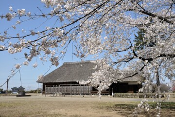 桜町陣屋跡 桜町陣屋跡