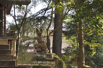 深川奥宮稲荷社「狛狐」 深川奥宮稲荷社「狛狐」